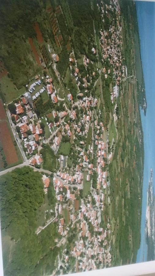 Apartment Nona Tar-Vabriga 외부 사진